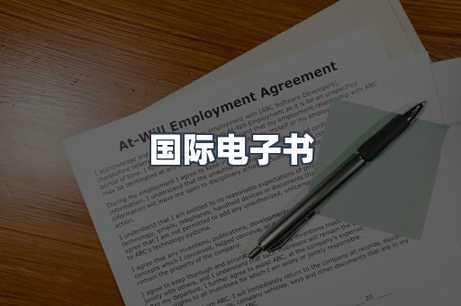 国际电子书